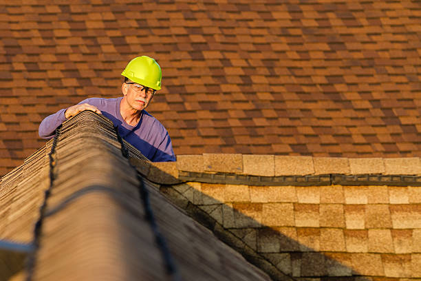 Roof Repair Estimates in Pine Hills, FL