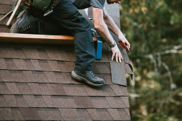 Gutter Installation and Roofing in Pine Hills, FL